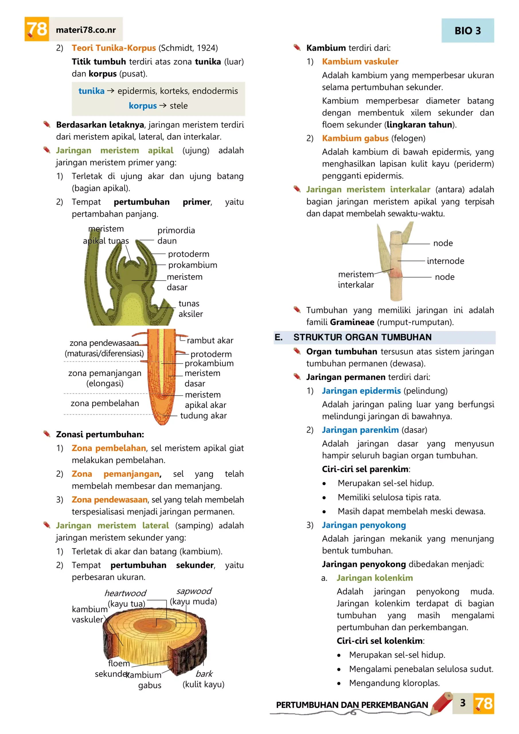 contoh soal les kelas 3 biologi contoh soal les kelas 3 biologi