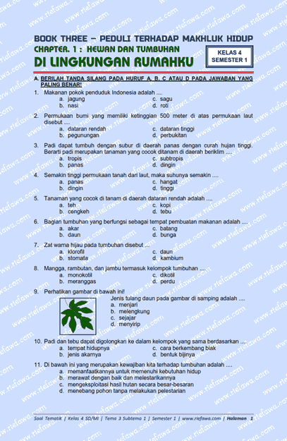 Akhirnya Tersedia 60 Contoh Soal Tematik Kelas 4 SD Tema 3 untuk Persiapan Ujian PPG Prajabatan 2026 Akhirnya Tersedia 60 Contoh Soal Tematik Kelas 4 SD Tema 3 untuk Persiapan Ujian PPG Prajabatan 2026
