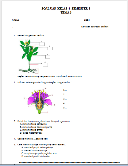 Ternyata Mudah Raih Nilai Sempurna dengan contoh soal tematik kelas 4 tema 1 lengkap Ternyata Mudah Raih Nilai Sempurna dengan contoh soal tematik kelas 4 tema 1 lengkap