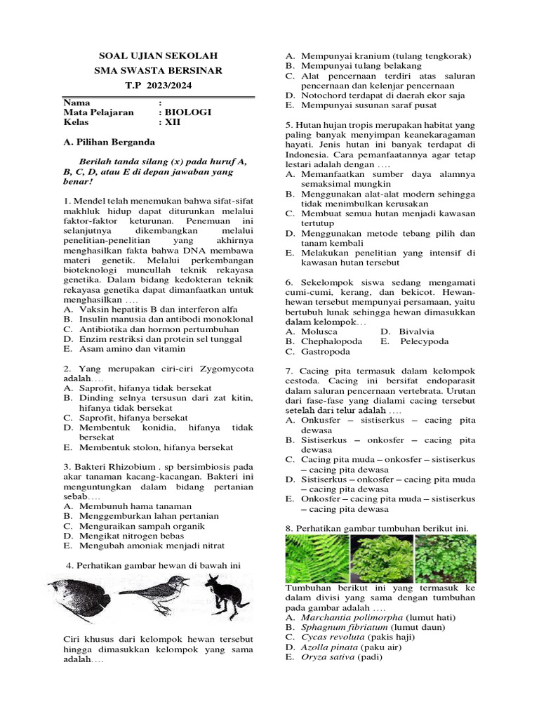 Rahasia Lulus Nilai Sempurna dengan Latihan Soal Ulangan Akhir Tahun Biologi Kelas Semester 2